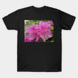 Pair of Pink Flowers Photographic Image T-Shirt